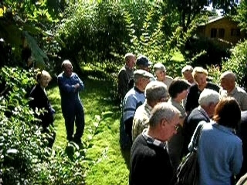 Causerie sur l'Araujia : Tueuse d'abeilles et de Papillons