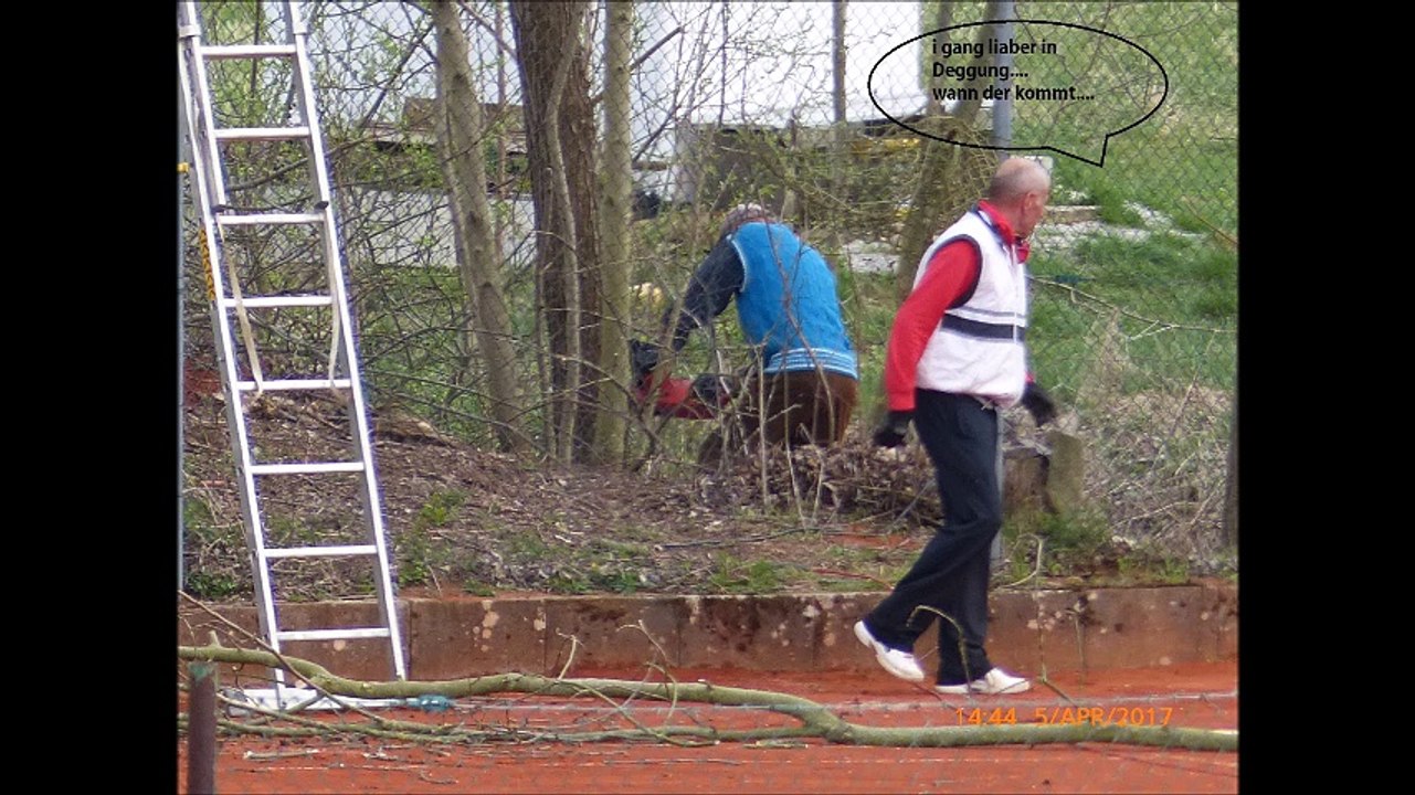 Die dümmsten Holzfäller des Tennisclub Lauchheim