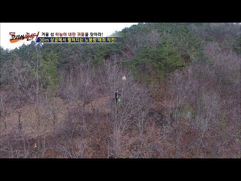 30m상공에서 말벌집을 채취하다! [뉴 코리아 헌터] 32회 20170109