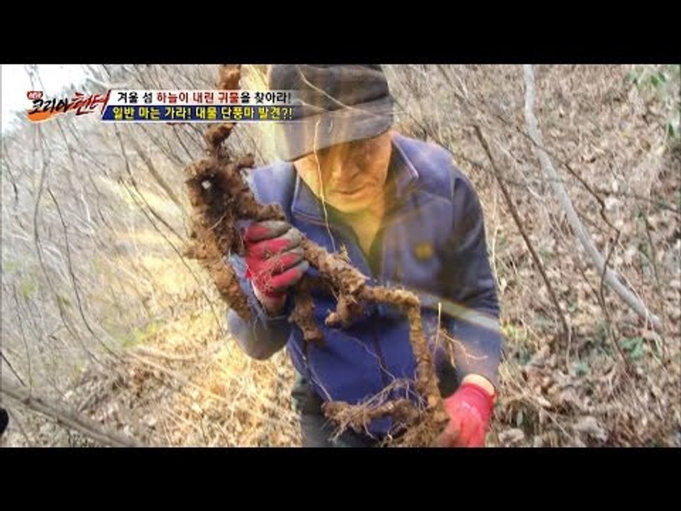 일반 마는 가라! 대물 단풍마 발견! [뉴 코리아 헌터] 32회 20170109
