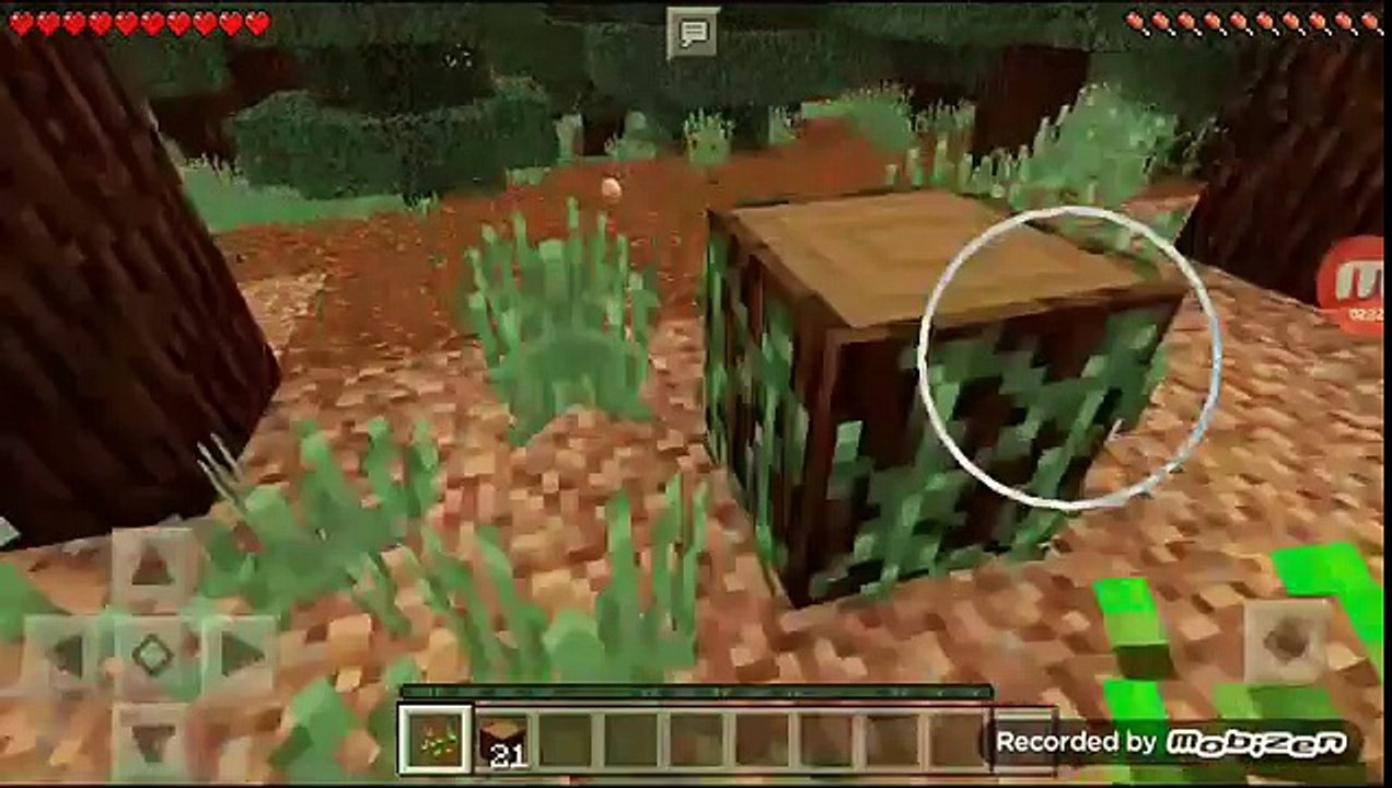 MINECRAFT! FINALLY!✔