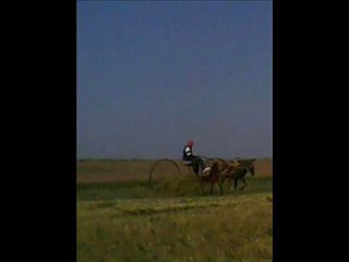 sabri şimşekoğlu(sevdekar yıldırım ve atalay tazegül'ün resimleri)