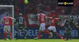 Adenon K. (Own goal) GOAL - Brest	2-1	Amiens 22.04.2017 HD