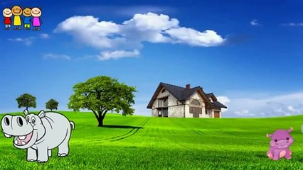 Cartoons for Kids   C  Family Rhym