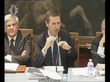 Roma - Audizioni su Indagine conoscitiva sul futuro del progetto europeo (20.04.17)