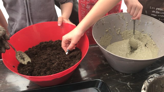 Vannes, ville belle et saine