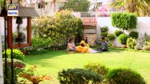 Watch Dilli Walay Dularay Babu Episode 35 - on Ary Digital in High Quality 22nd April 2017