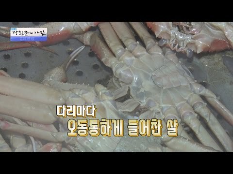 대게를 뒤집어 놓는 이유! 게딱지 맛의 비밀! [광화문의 아침] 397회 20170109