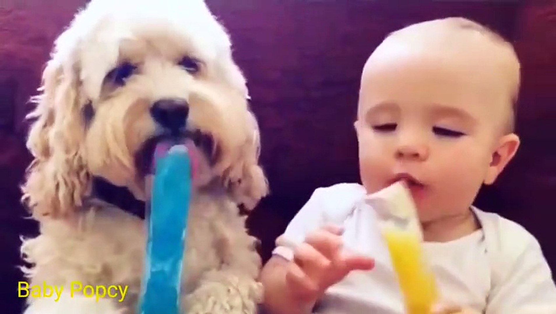 Funny Baby Eating ★ Kids Funny Videos ★ Funny Videos for Kids
