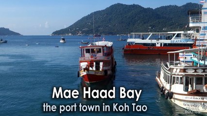 Mae Haad Bay the port town in Koh Tao