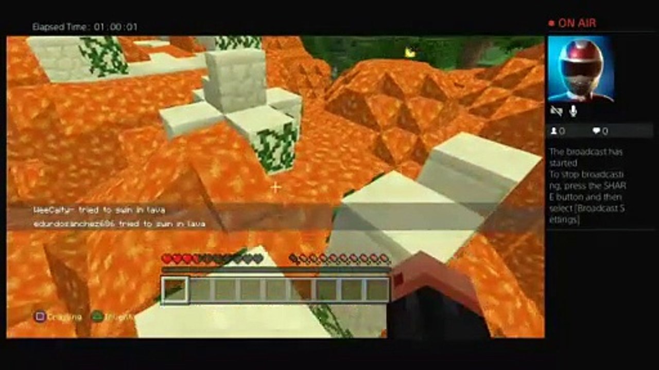 MINECRAFT (23)