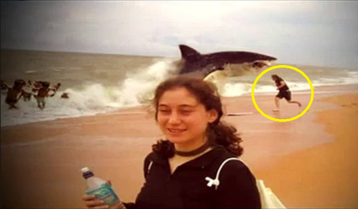 Shark eats alive man on the shore -- Shocking Video