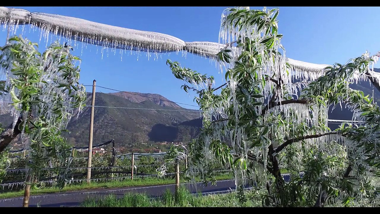 D!CI TV : Alpes du Sud : Les vergers de feu et de glace, des images tristement historiques