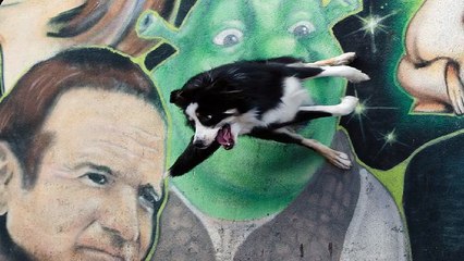 JA 오피쓰 여주오피 여주건마 여주휴게텔 여주키스방 여주마사지