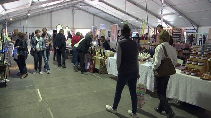 D!CI TV : Alpes du Sud : gelées noires : Les vignes aussi ont été touchées