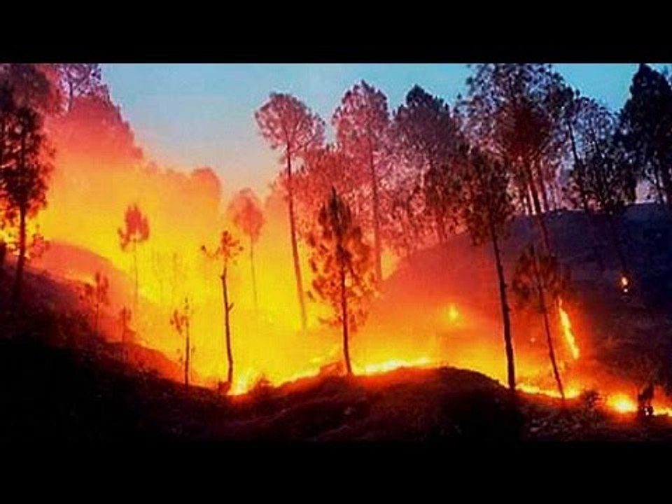 Forest fire near Mata Vaishno Devi, Air Force helping in dousing fire| Oneindia News