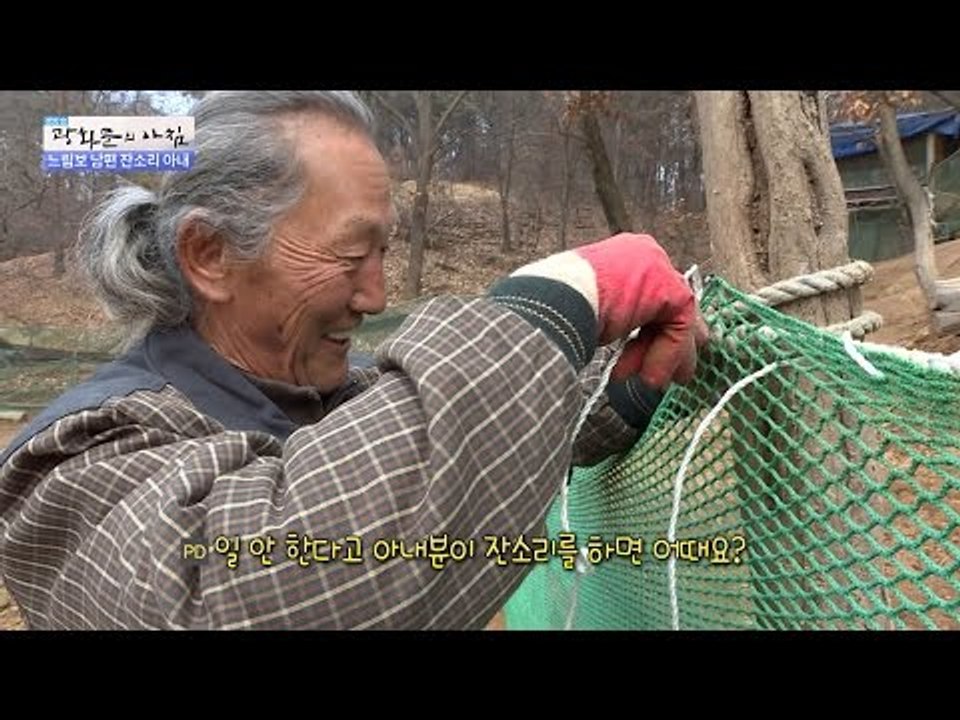 갑자기 열심히 일하는 게으름보 남편 [광화문의 아침] 395회 20170105