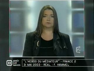 Affaire Alègre : Bouquillat (France2) - 2