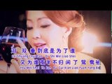 Evon Low刘珺儿 - 华语情歌恋曲III【昨夜夢醒時】