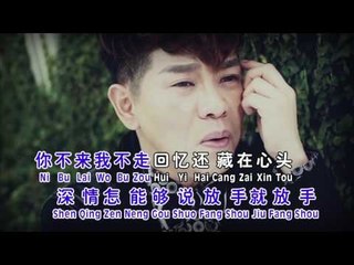 钟伟Zhong Wei - 真情魅力歌展6【你不来我不走】原创新歌