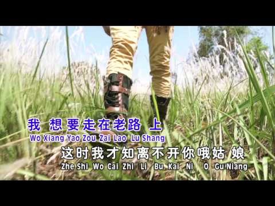 许文友Thomas Khor - 魅力情歌金曲【花房姑娘】