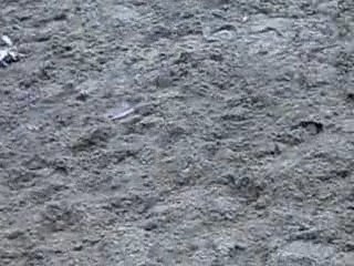 Photo du concour du 30.09.2007 054