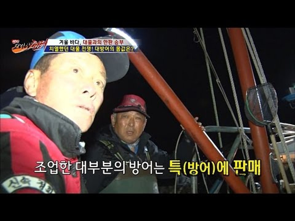 대방어의 몸값은 600만원?! [뉴 코리아 헌터] 31회 20170102