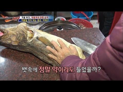 이순신 장군의 보양식, 약대구 배 속 공개! [뉴 코리아 헌터] 31회 20170102