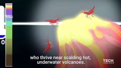This incredible animation shows how deep the ocean really is