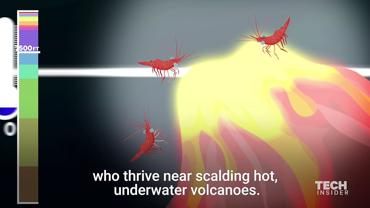 This incredible animation shows how deep the ocean really is