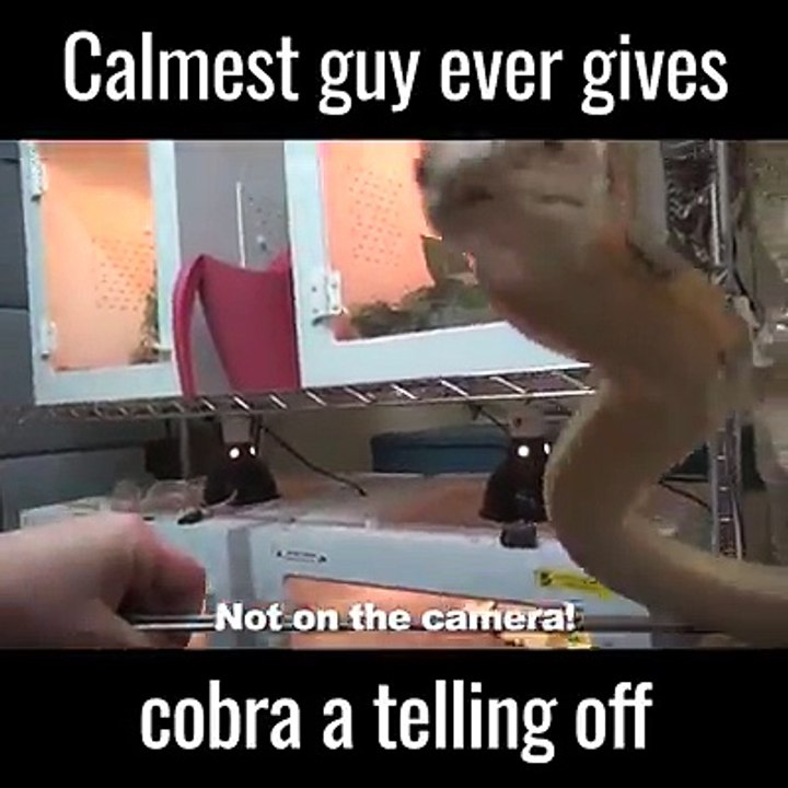This is one VERY naughty snake!