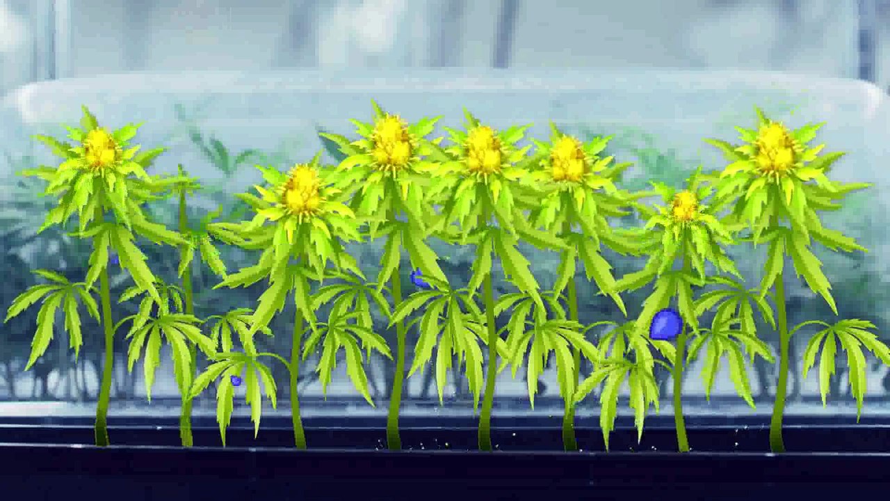 Wiz Khalifa's Weed Farm (Official Trailer)