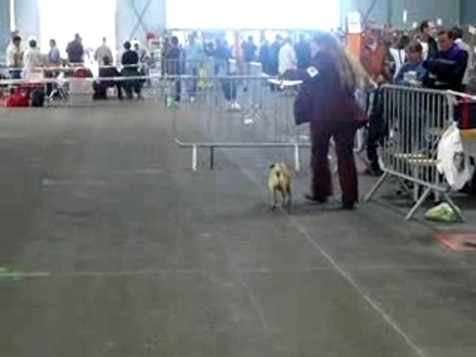 Tours 09 07 max et julie