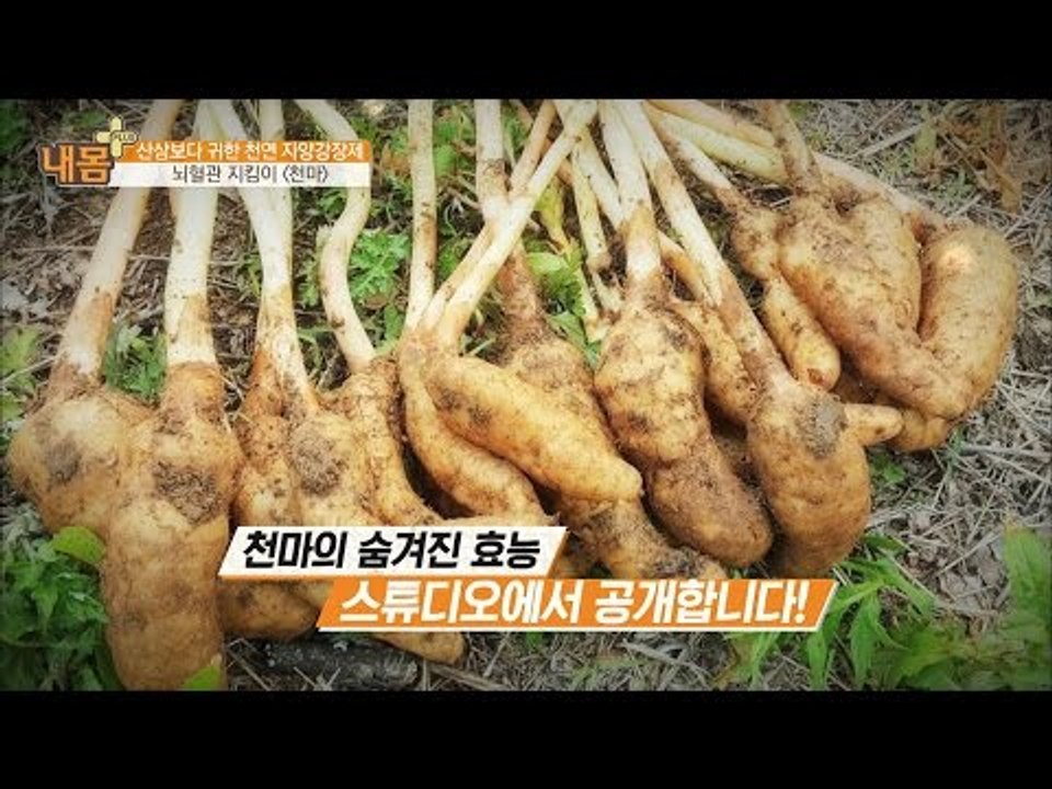뇌혈관을 지켜준다! ‘천마’ [내 몸 플러스] 39회 20160101