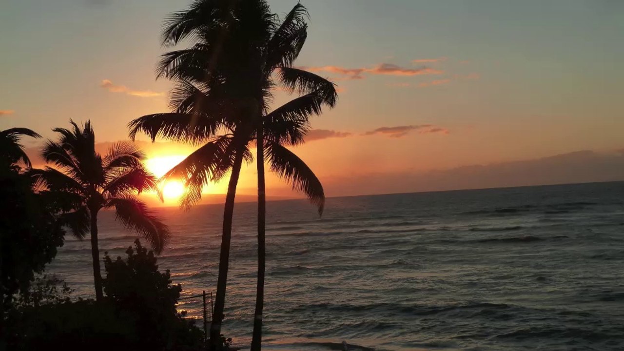 LUVTAXI "SummerWind" Light