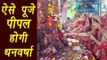 Peepal Puja vidhi, कैसे करें पीपल की पूजा  | Astro Tips | ऐसे पूजे पीपल, होगी धनवर्षा | Boldsky