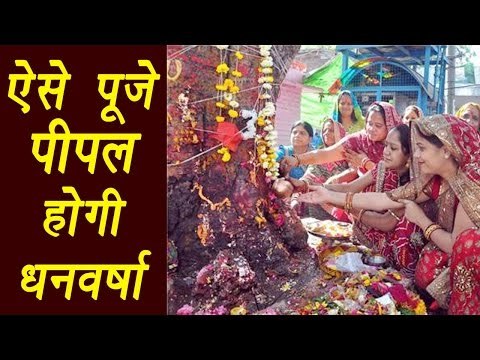 Peepal Puja vidhi, कैसे करें पीपल की पूजा | Astro Tips | ऐसे पूजे पीपल, होगी धनवर्षा | Boldsky