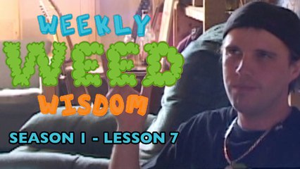 WEEKLY WEED WISDOM LESSON #7: Weed Episodes