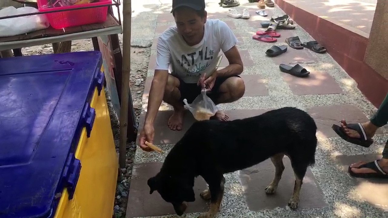 หมากินขนมปัง