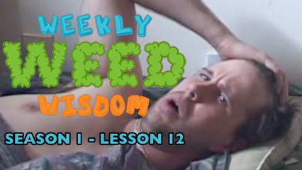 WEEKLY WEED WISDOM LESSON #12: Wake and Bake