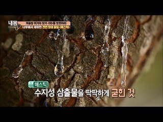 신의 눈물, 위장 건강 지킴이 ‘매스틱’ [내 몸 사용설명서] 135회 20161230