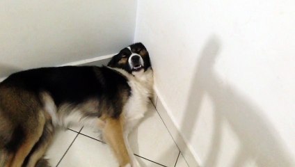 FOI BEBER E OLHA NO QUE DEU