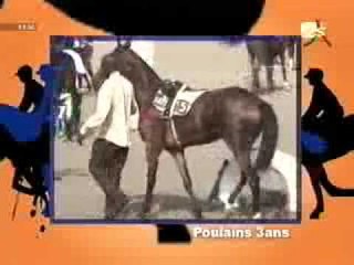 Sangomar - 7 Juillet 2012 - Partie 1