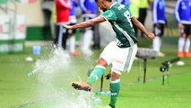 BORJA fica irritado ao ser substituido e chuta copo de água no jogo Palmeiras 1 x 0 Ponte Preta