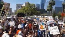 Timelapse Shows Thousands in Los Angeles March for Science