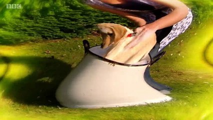 Big Barn Farm - S2E02. What's That Smell-