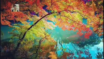 naat sharif pyari maa