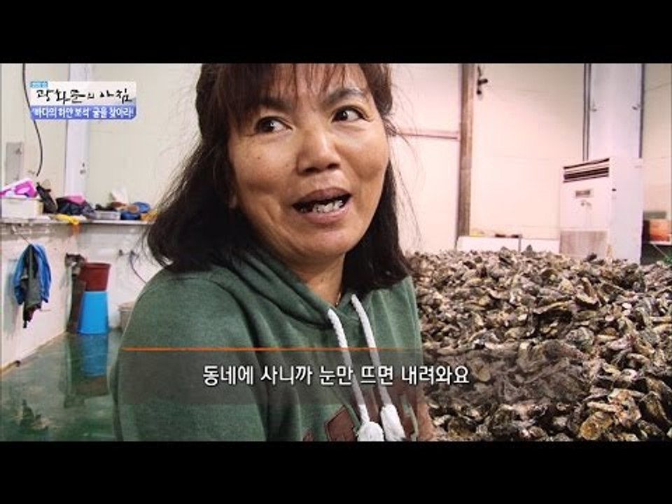 15일 만에 300만 원 버는 일의 정체는? [광화문의 아침] 389회 20161228