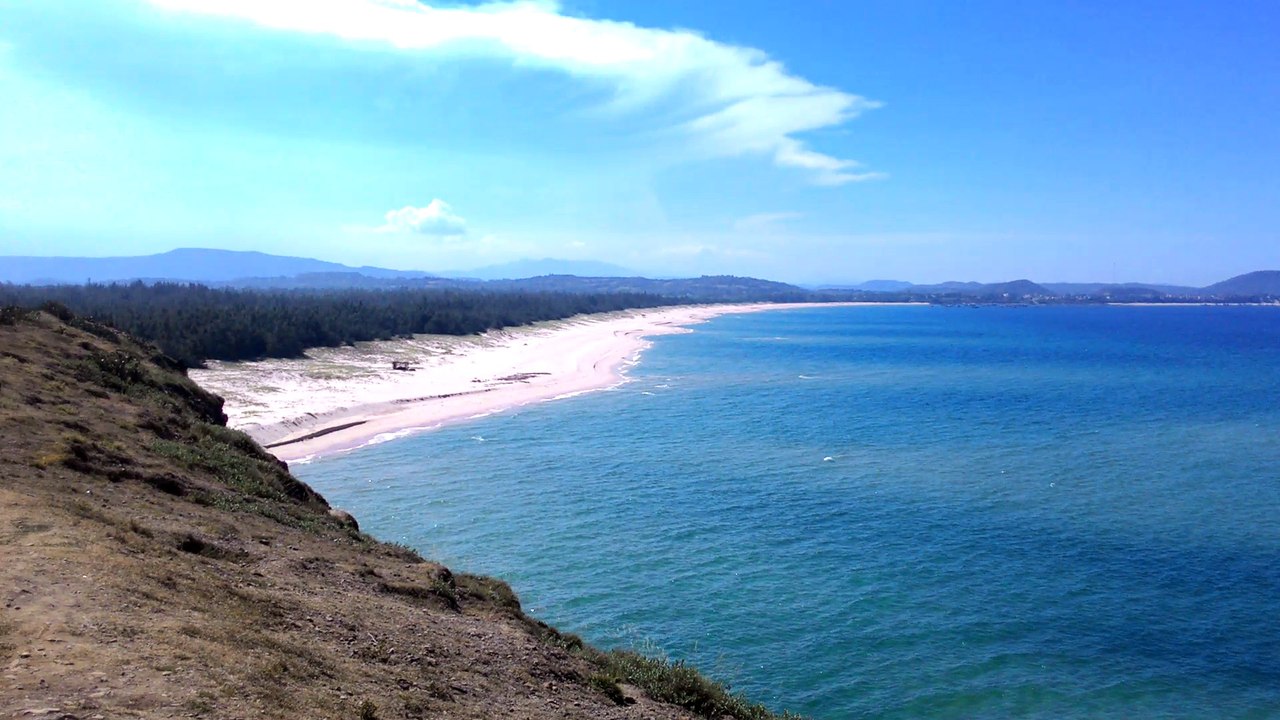 Tôi thấy hoa vảng trên cỏ xanh | Viet Nam travel