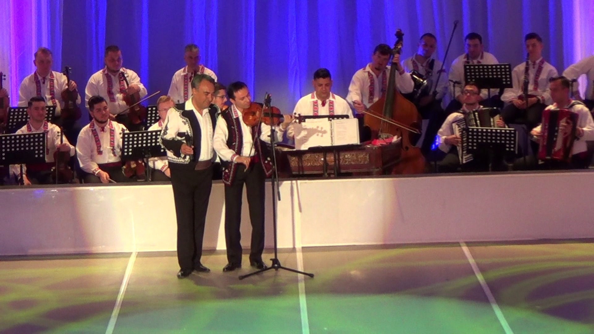 gheorghe rosoga in padurea arginesti